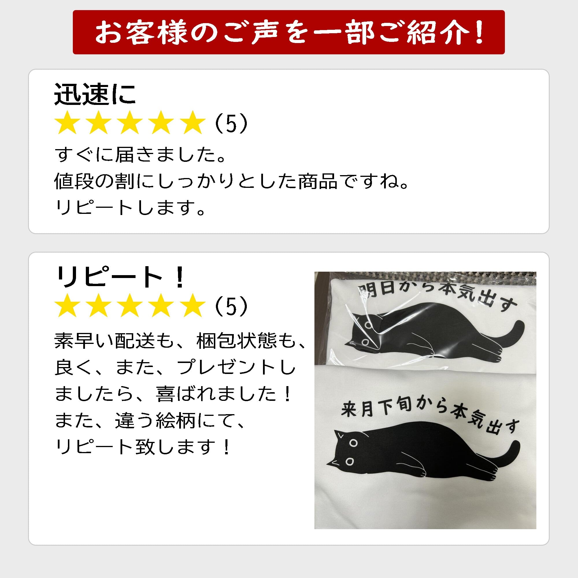 猫tシャツ ねこ 猫イラスト やる気スイッチは故障中にゃ〜|アダルト&キッズサイズ.